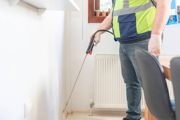 Best Flea Control Services  in Timberlake, VA