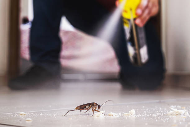 Best Best Pest Control Companies  in Timberlake, VA