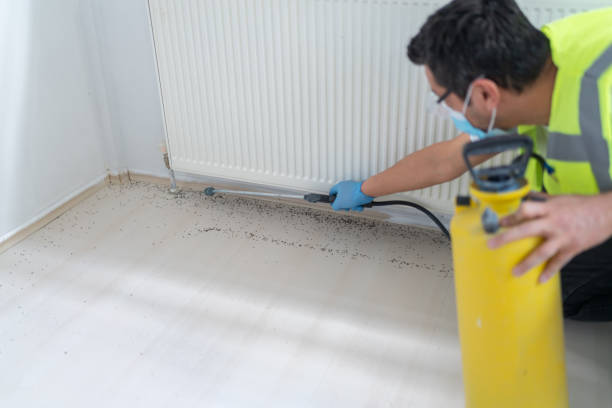 Reliable Timberlake, VA Pest Control Solutions